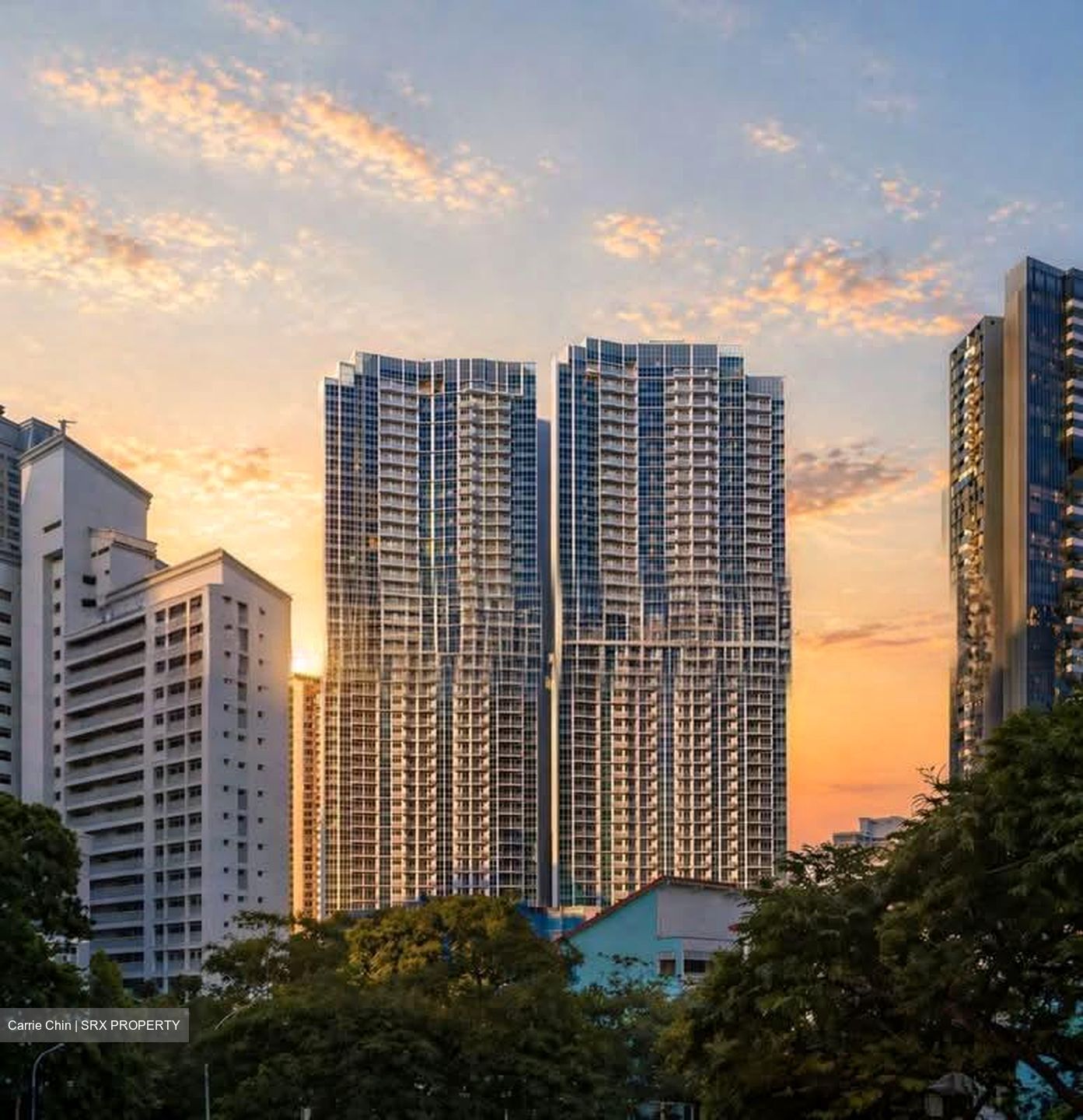 Queens Peak (D3), Condominium #549014391